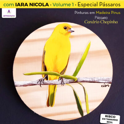 Apostila Digital – Pintura in Casa com Iara Nicola – Pássaro Canário Chapinha