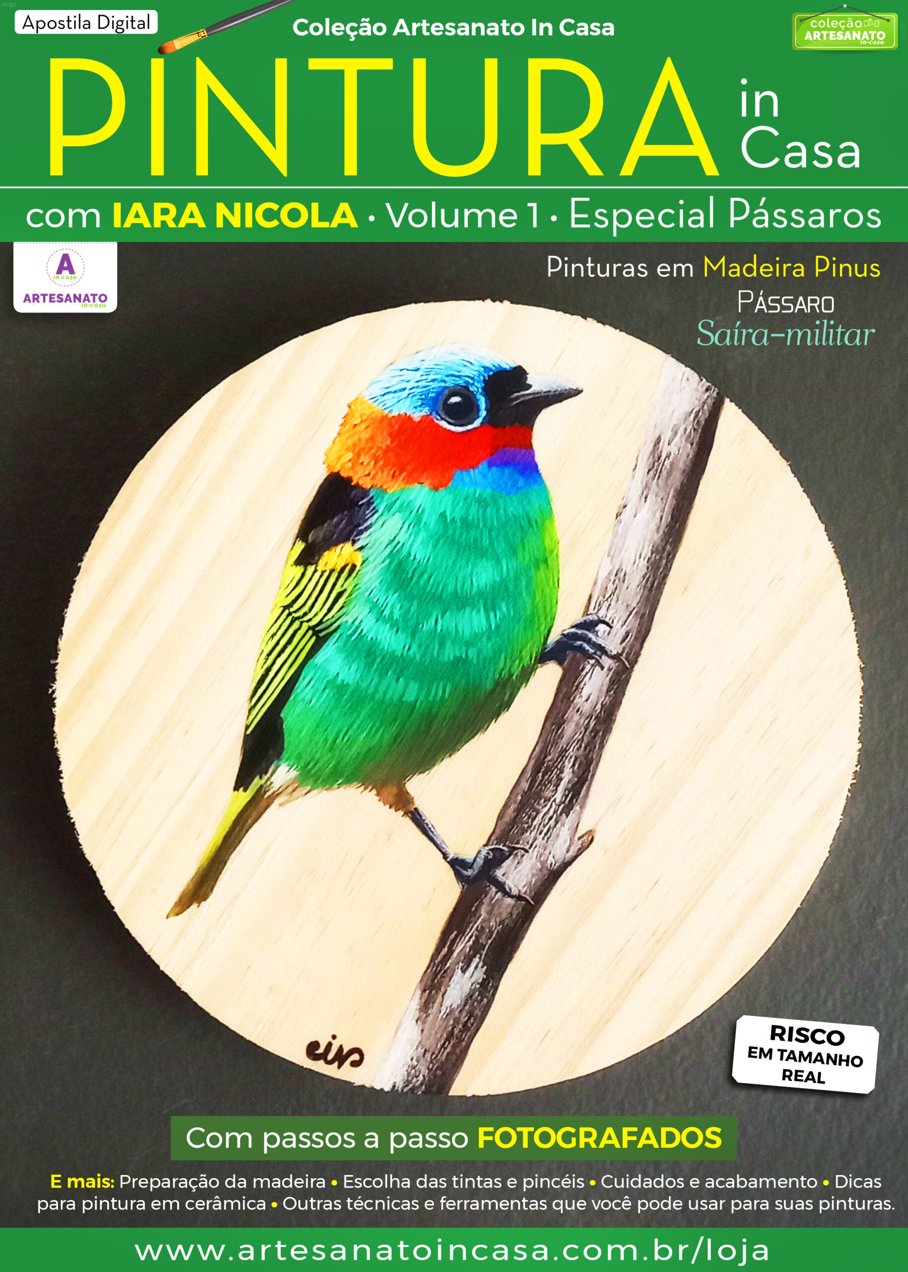 Apostila Digital – Pintura in Casa com Iara Nicola – Pássaro Saíra-militar